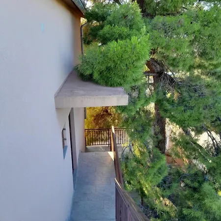 Apartman Lezerno Apartment